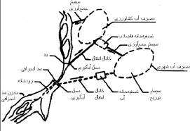 اصول و مبانی آبگیری از رودخانه ها به صورت فایل pdf در 150 صفحه همراه با شکل و تصاویر و جدول به طور کامل و جامع